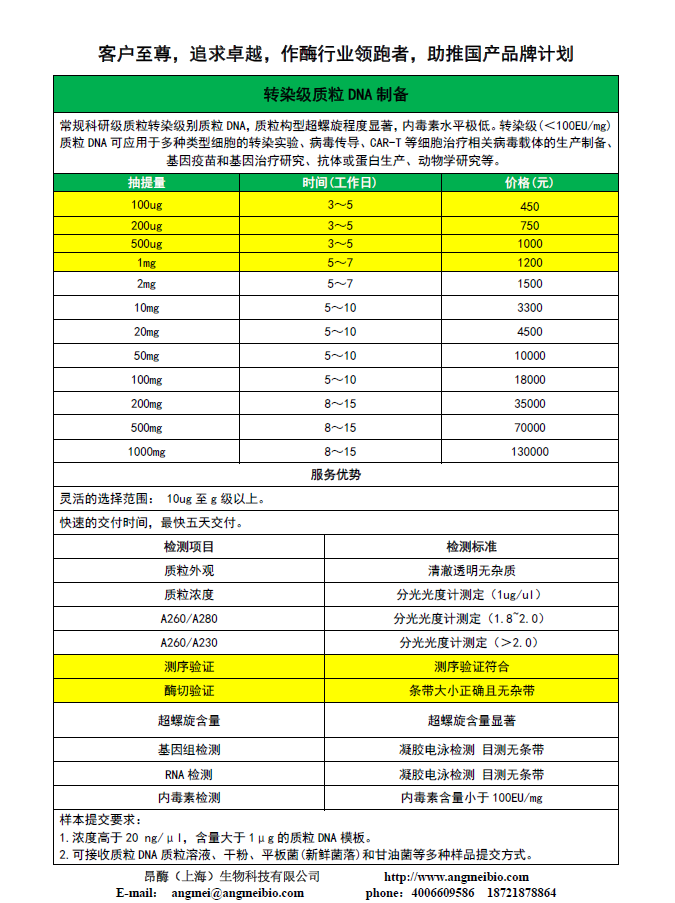 转染级质粒DNA制备.png